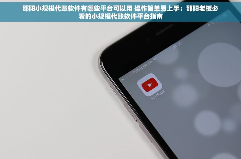邵阳小规模代账软件有哪些平台可以用 操作简单易上手：邵阳老板必看的小规模代账软件平台指南