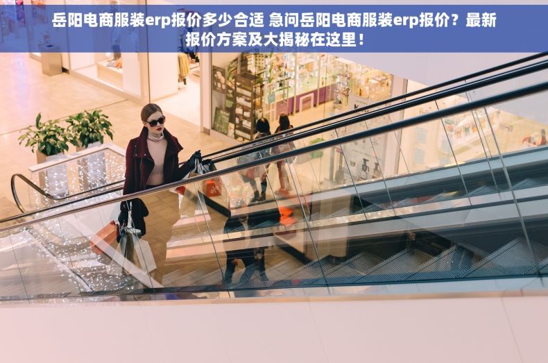 岳阳电商服装erp报价多少合适 急问岳阳电商服装erp报价？最新报价方案及大揭秘在这里！