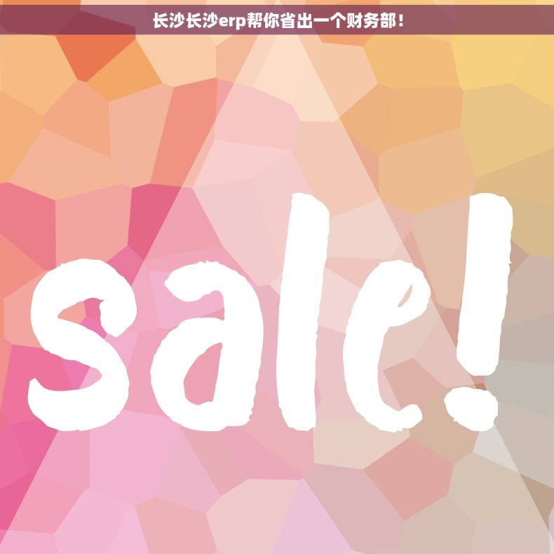 长沙长沙erp帮你省出一个财务部！