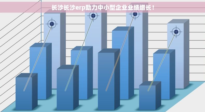 长沙长沙erp助力中小型企业业绩增长！