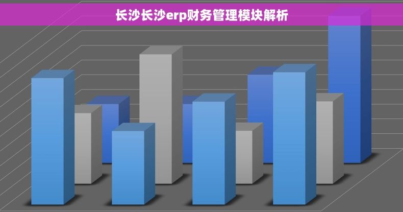 长沙长沙erp财务管理模块解析