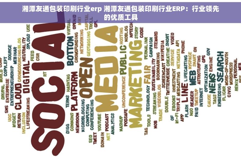 湘潭友通包装印刷行业erp 湘潭友通包装印刷行业ERP：行业领先的优质工具
