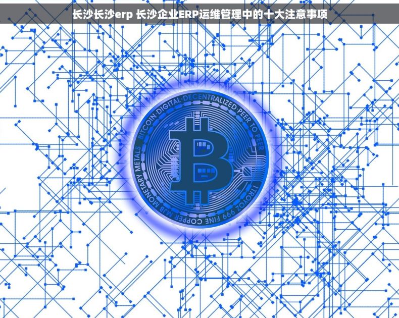 长沙长沙erp 长沙企业ERP运维管理中的十大注意事项