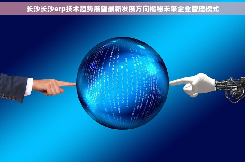 长沙长沙erp技术趋势展望最新发展方向揭秘未来企业管理模式