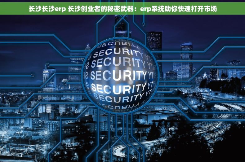 长沙长沙erp 长沙创业者的秘密武器：erp系统助你快速打开市场