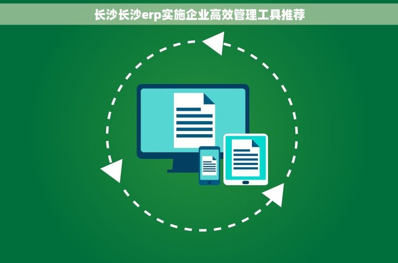 长沙长沙erp实施企业高效管理工具推荐