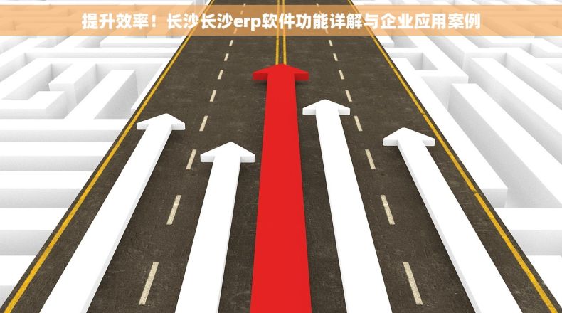 提升效率！长沙长沙erp软件功能详解与企业应用案例