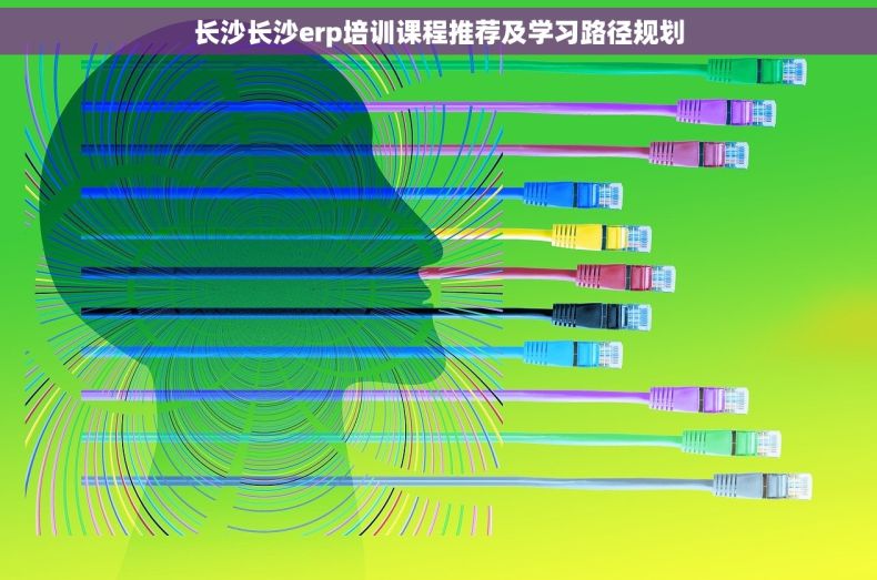 长沙长沙erp培训课程推荐及学习路径规划
