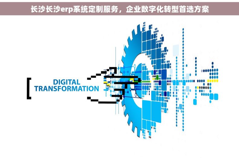 长沙长沙erp系统定制服务，企业数字化转型首选方案