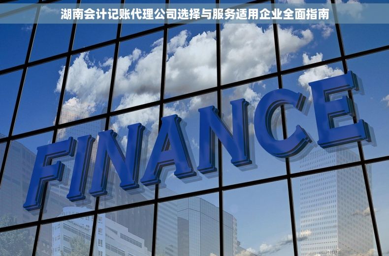 湖南会计记账代理公司选择与服务适用企业全面指南
