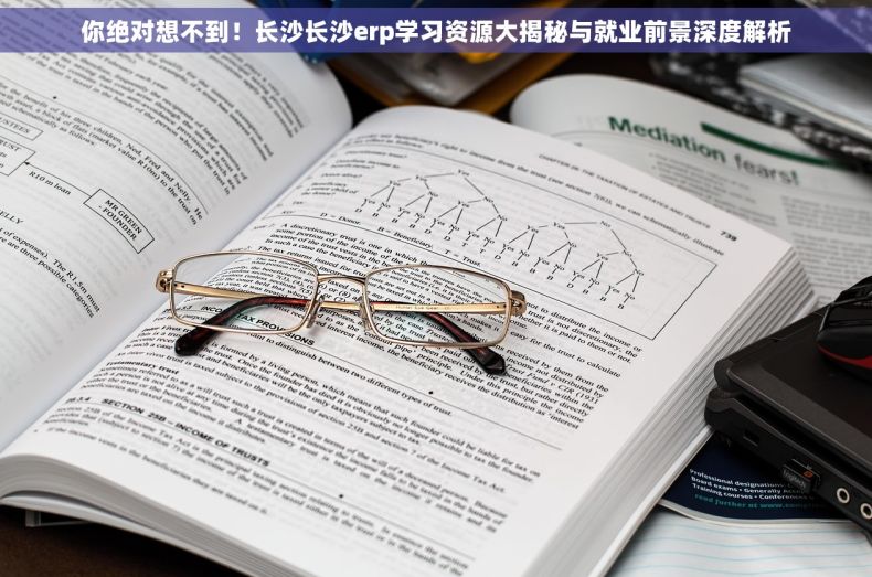 你绝对想不到！长沙长沙erp学习资源大揭秘与就业前景深度解析
