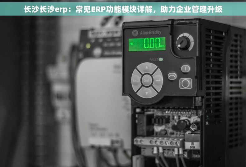 长沙长沙erp：常见ERP功能模块详解，助力企业管理升级