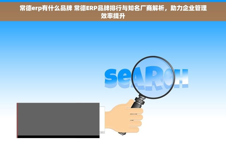 常德erp有什么品牌 常德ERP品牌排行与知名厂商解析，助力企业管理效率提升