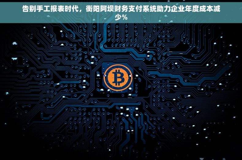 告别手工报表时代，衡阳阿坝财务支付系统助力企业年度成本减少%