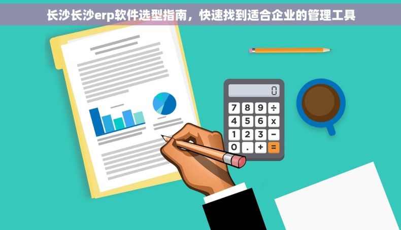 长沙长沙erp软件选型指南，快速找到适合企业的管理工具