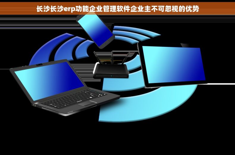 长沙长沙erp功能企业管理软件企业主不可忽视的优势