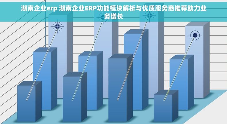 湖南企业erp 湖南企业ERP功能模块解析与优质服务商推荐助力业务增长