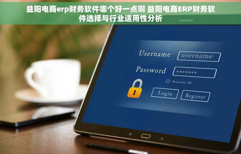 益阳电商erp财务软件哪个好一点啊 益阳电商ERP财务软件选择与行业适用性分析