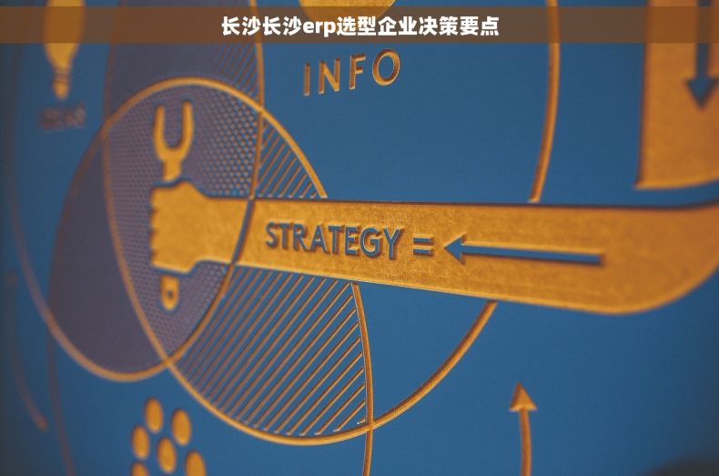 长沙长沙erp选型企业决策要点