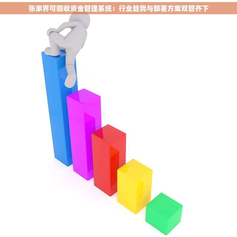 张家界可回收资金管理系统：行业趋势与部署方案双管齐下