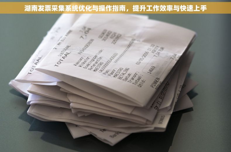 湖南发票采集系统优化与操作指南，提升工作效率与快速上手