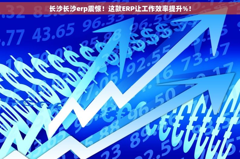 长沙长沙erp震惊！这款ERP让工作效率提升%！