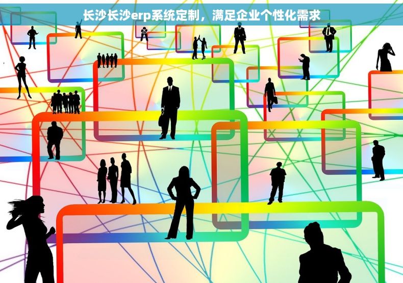 长沙长沙erp系统定制，满足企业个性化需求