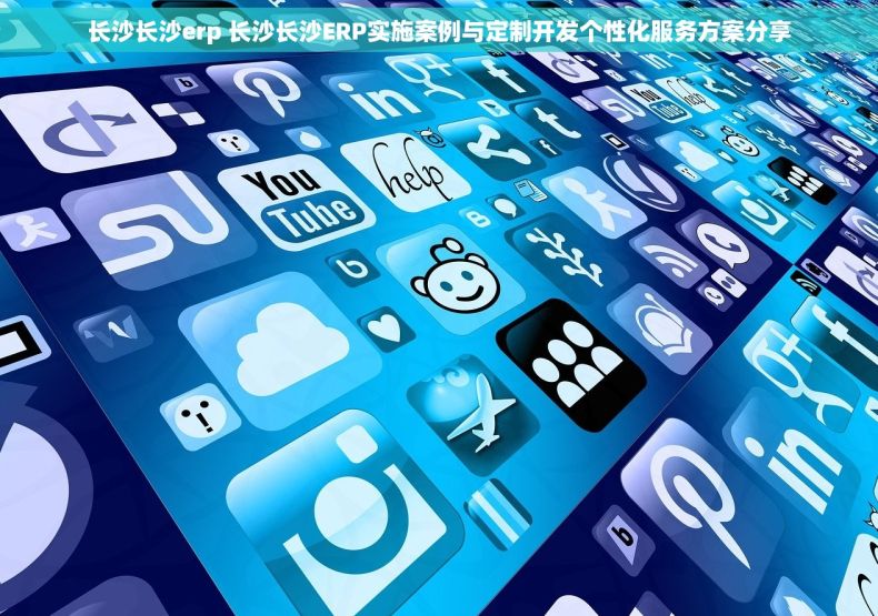 长沙长沙erp 长沙长沙ERP实施案例与定制开发个性化服务方案分享