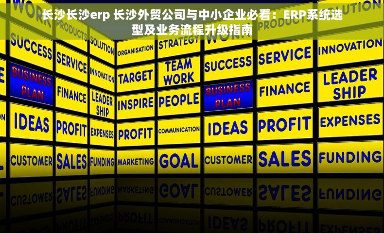 长沙长沙erp 长沙外贸公司与中小企业必看：ERP系统选型及业务流程升级指南