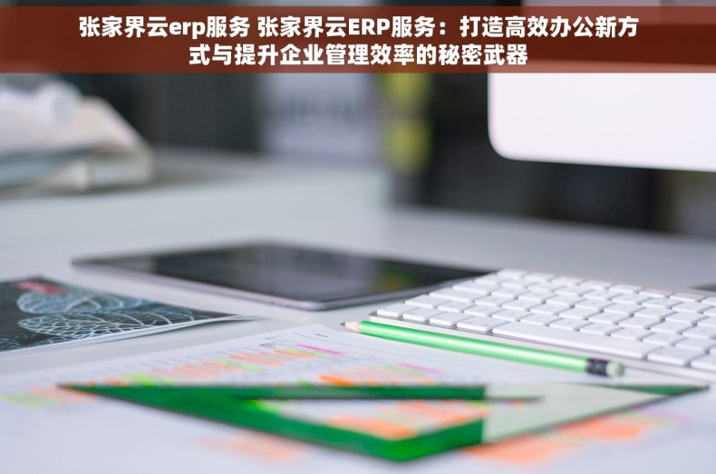 张家界云erp服务 张家界云ERP服务：打造高效办公新方式与提升企业管理效率的秘密武器