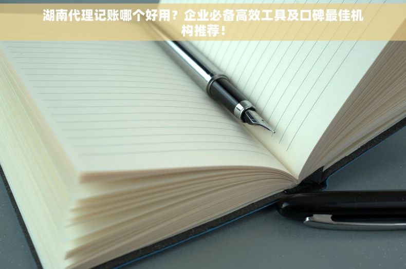 湖南代理记账哪个好用？企业必备高效工具及口碑最佳机构推荐！