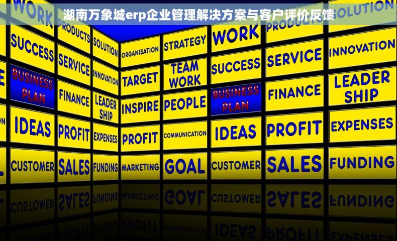 湖南万象城erp企业管理解决方案与客户评价反馈
