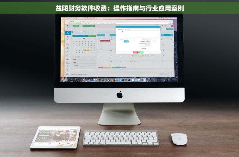 益阳财务软件收费：操作指南与行业应用案例