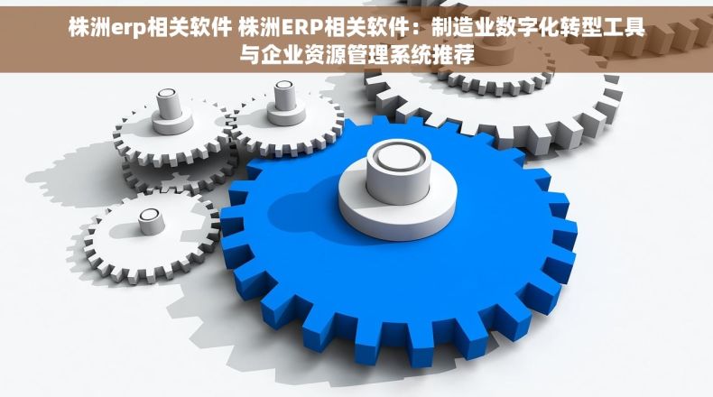 株洲erp相关软件 株洲ERP相关软件：制造业数字化转型工具与企业资源管理系统推荐