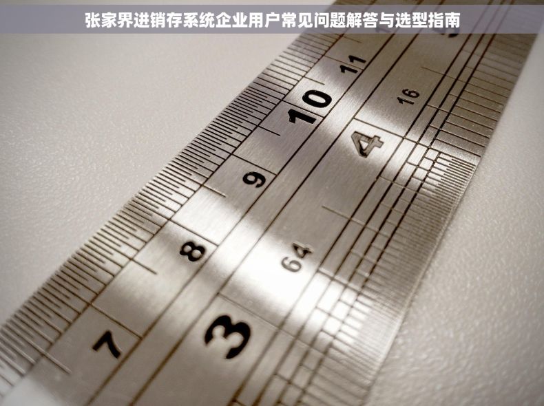 张家界进销存系统企业用户常见问题解答与选型指南