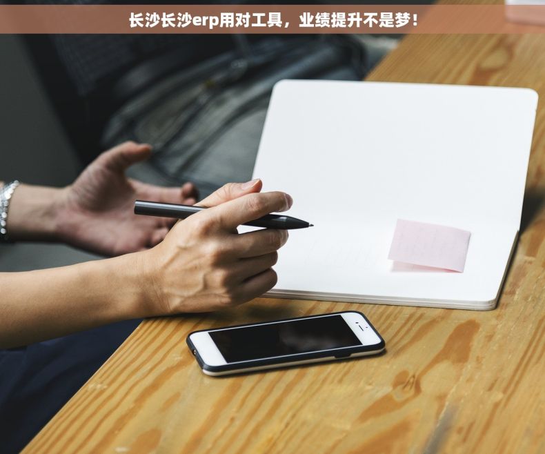 长沙长沙erp用对工具，业绩提升不是梦！