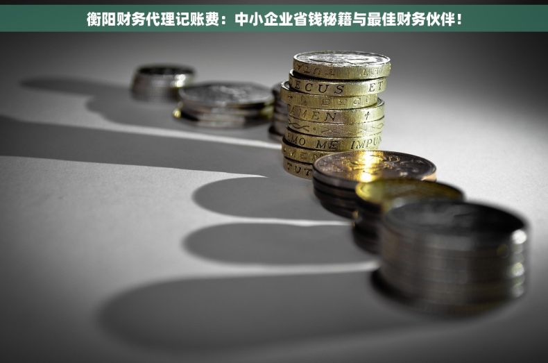 衡阳财务代理记账费：中小企业省钱秘籍与最佳财务伙伴！
