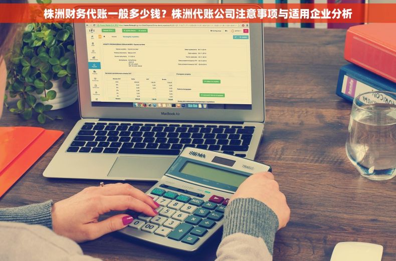株洲财务代账一般多少钱？株洲代账公司注意事项与适用企业分析