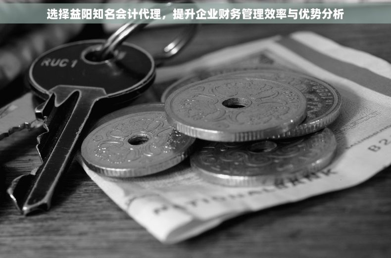 选择益阳知名会计代理，提升企业财务管理效率与优势分析