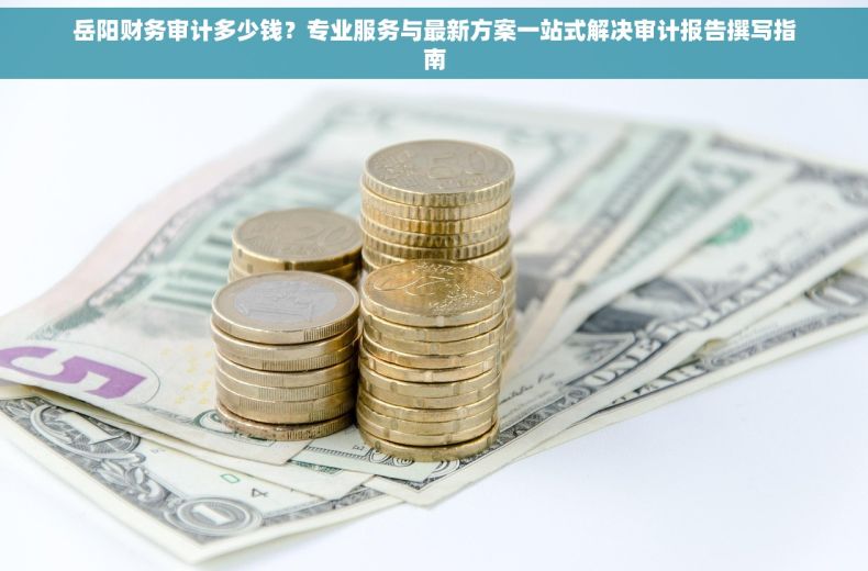 岳阳财务审计多少钱？专业服务与最新方案一站式解决审计报告撰写指南
