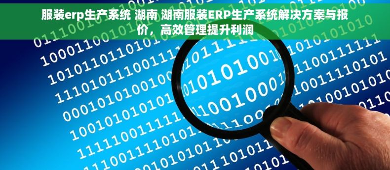 服装erp生产系统 湖南 湖南服装ERP生产系统解决方案与报价，高效管理提升利润