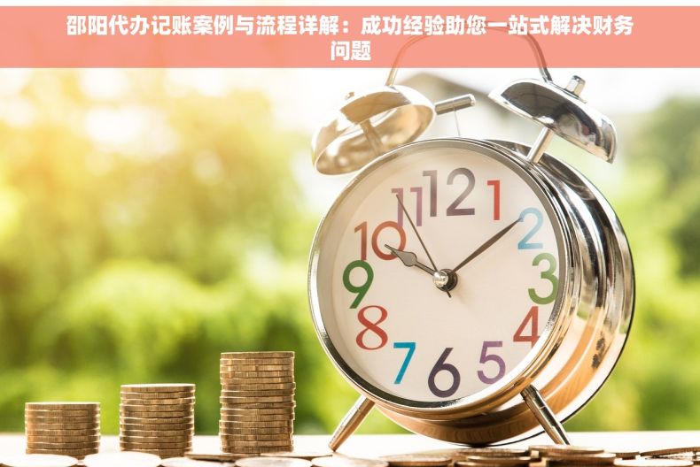 邵阳代办记账案例与流程详解：成功经验助您一站式解决财务问题
