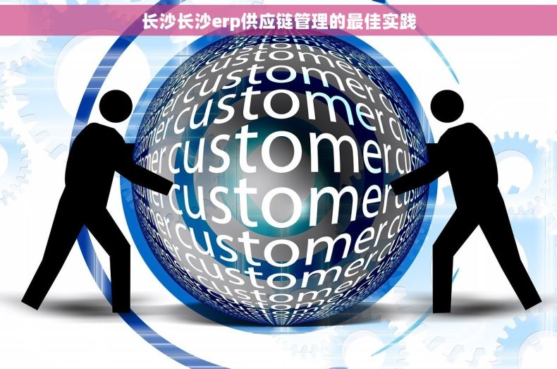 长沙长沙erp供应链管理的最佳实践