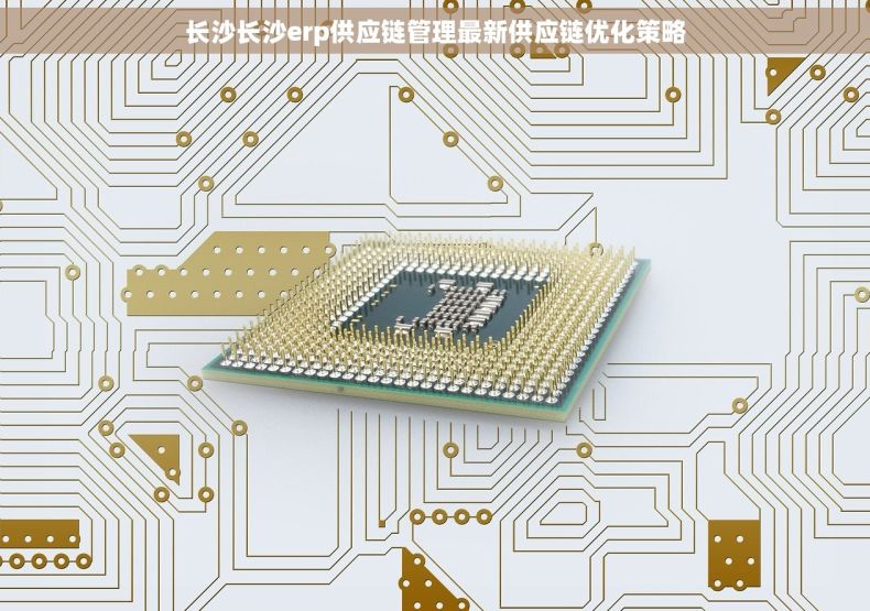 长沙长沙erp供应链管理最新供应链优化策略