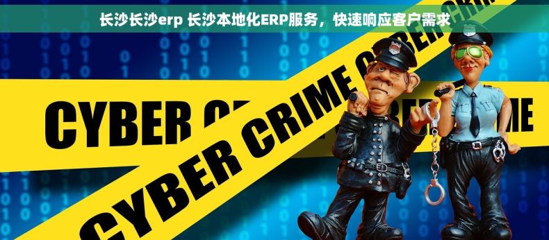 长沙长沙erp 长沙本地化ERP服务，快速响应客户需求