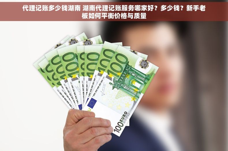 代理记账多少钱湖南 湖南代理记账服务哪家好？多少钱？新手老板如何平衡价格与质量