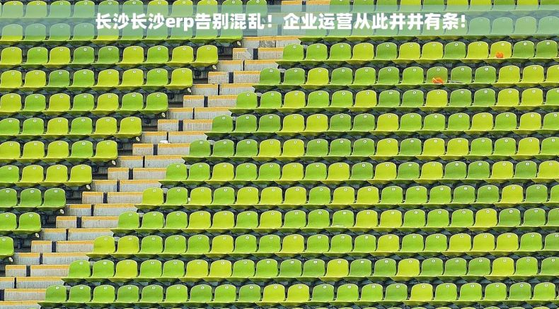长沙长沙erp告别混乱！企业运营从此井井有条!