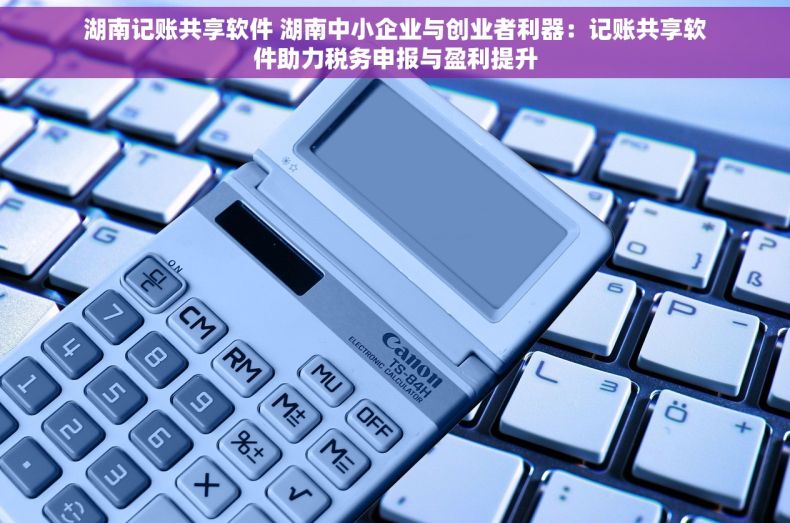 湖南记账共享软件 湖南中小企业与创业者利器：记账共享软件助力税务申报与盈利提升