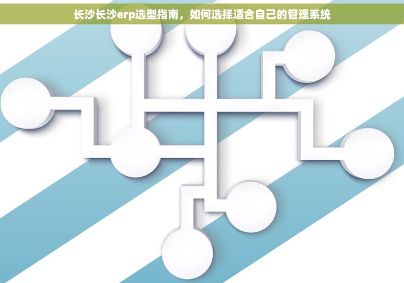 长沙长沙erp选型指南，如何选择适合自己的管理系统