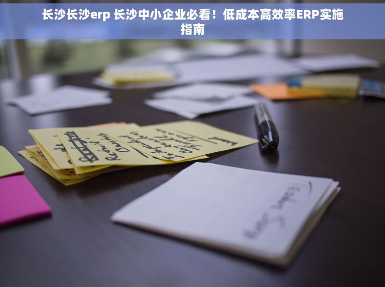 长沙长沙erp 长沙中小企业必看！低成本高效率ERP实施指南